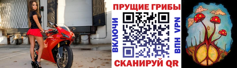 Галлюциногенные грибы GOLDEN TEACHER  Купить закладки  Новый Уренгой